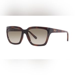 Salvatore Ferragamo SF1018S Tortoise Sunglasses
